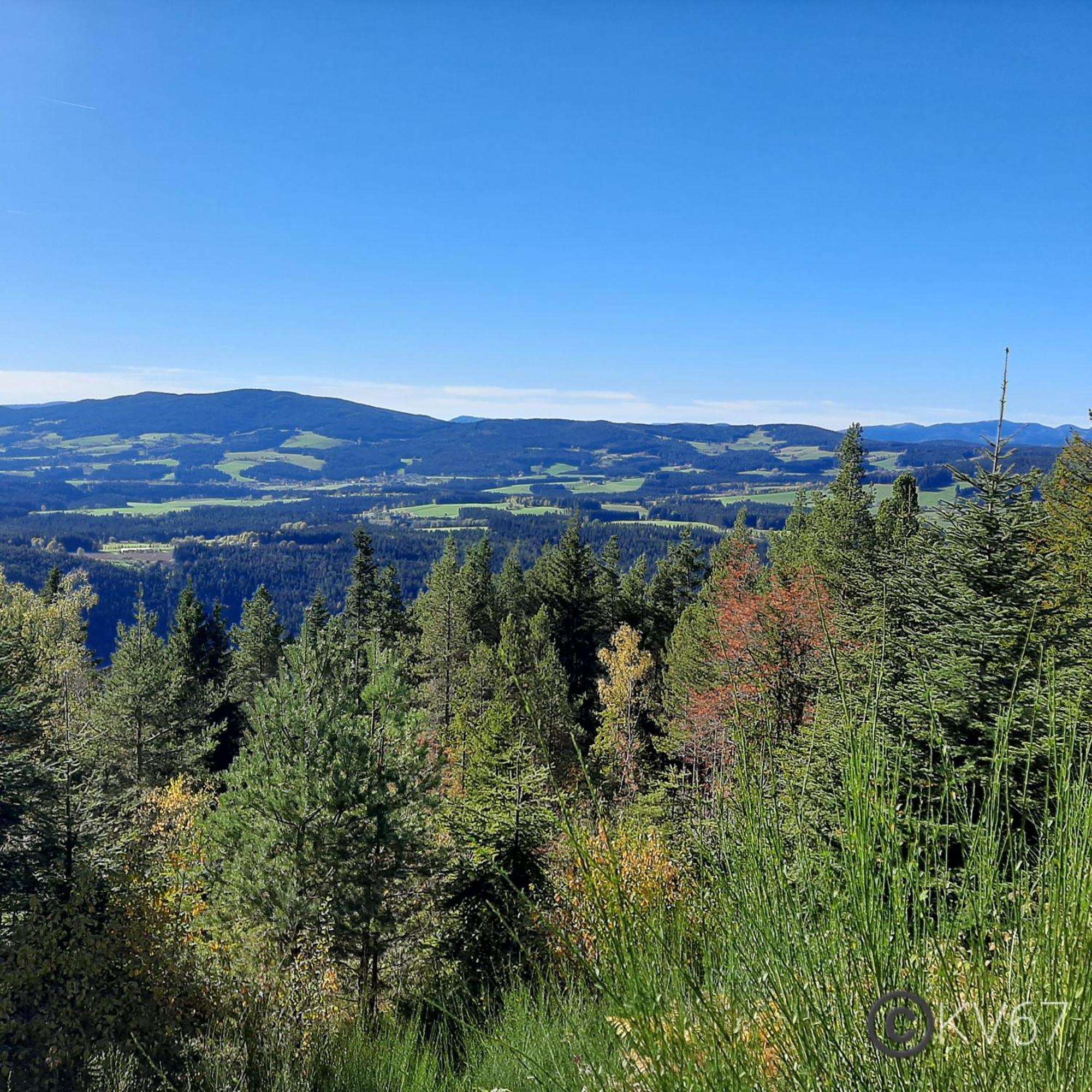 Jogilation Apartment Sankt Jakob im Walde Luaran gambar